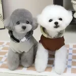 Cozy Fleece Dog Hoodie – Warm Sweatshirt for Small Breeds