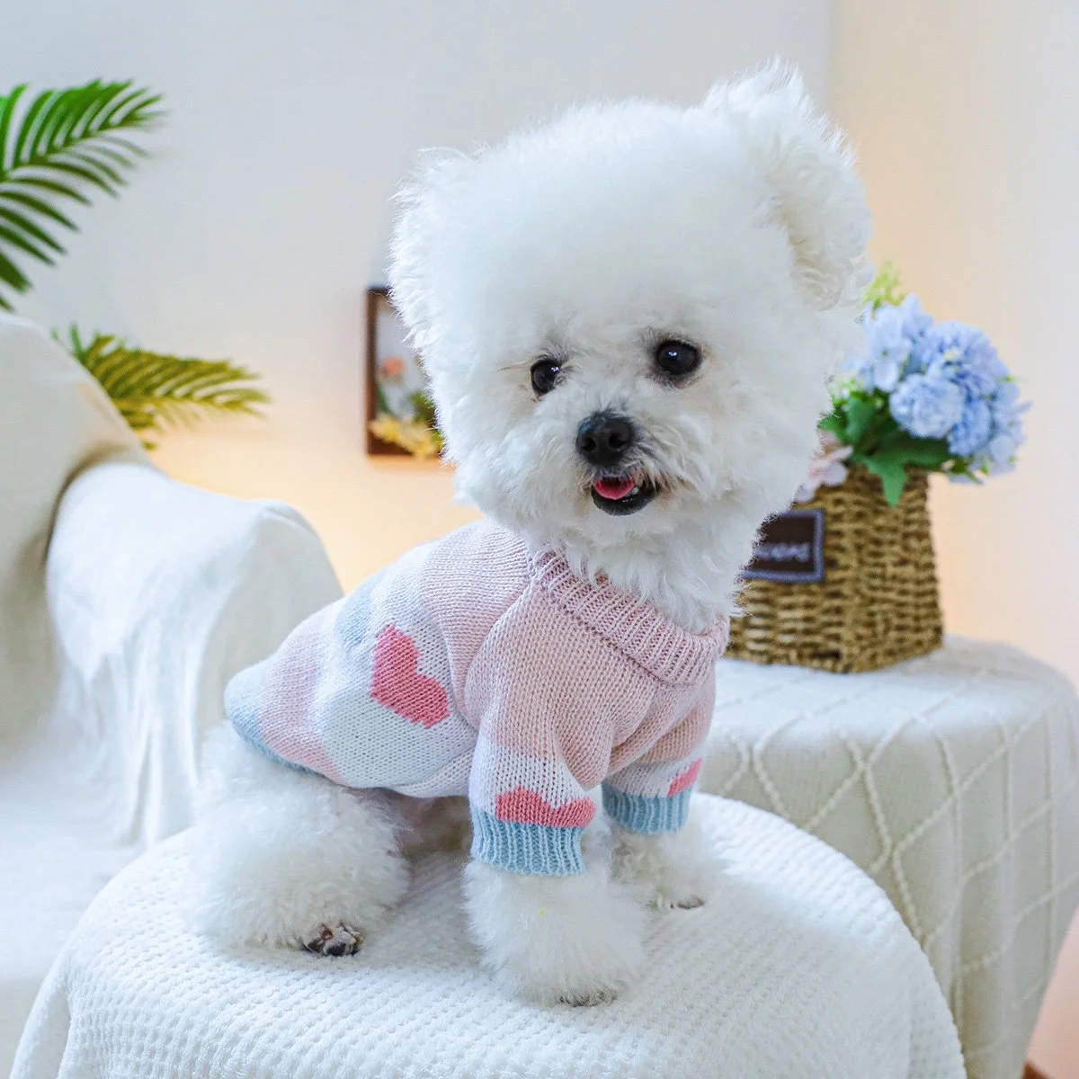 Cozy Love Dog Hoodie – Soft Jacquard Sweater for Small & Medium Dogs