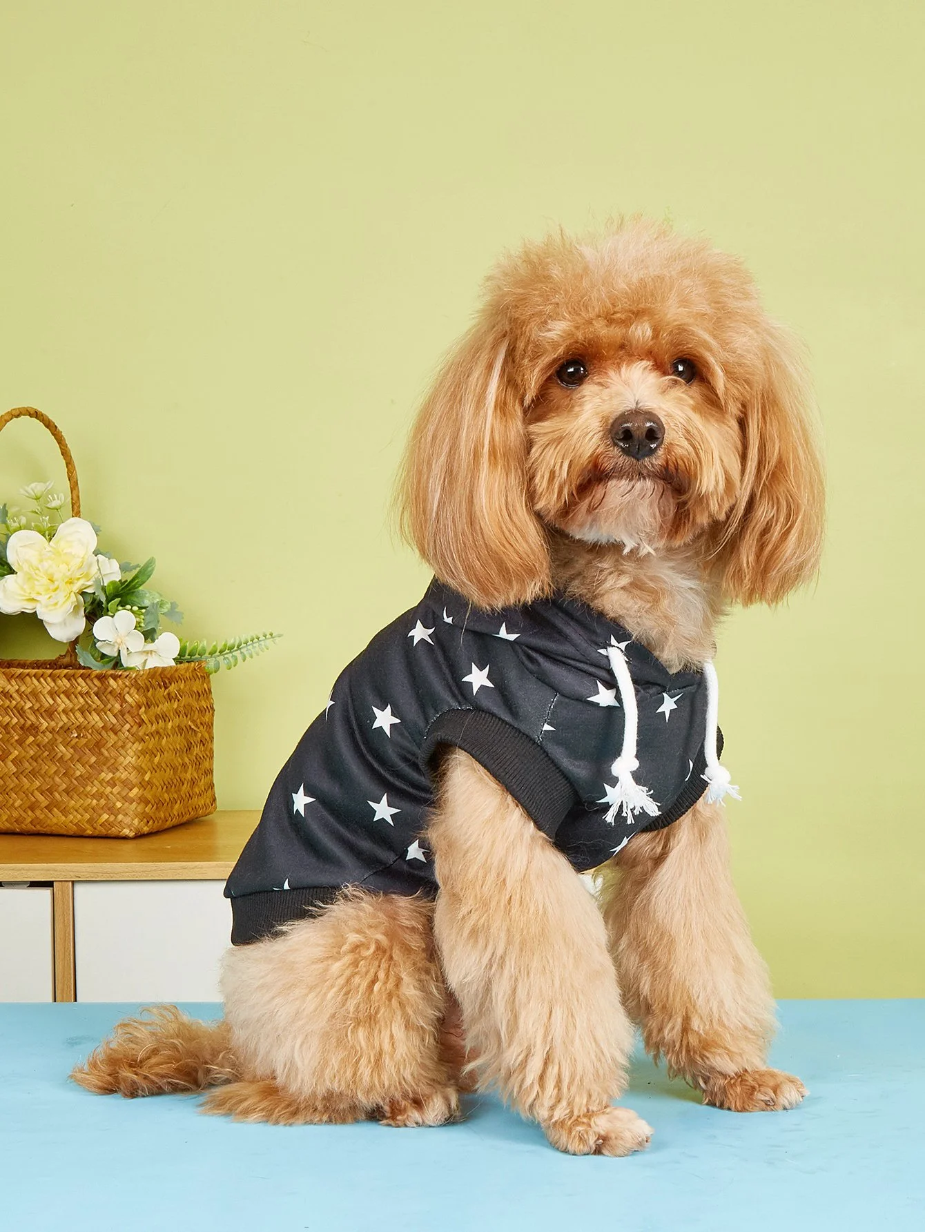 Cozy Dog & Cat Hoodie Sweatshirt with Star Design