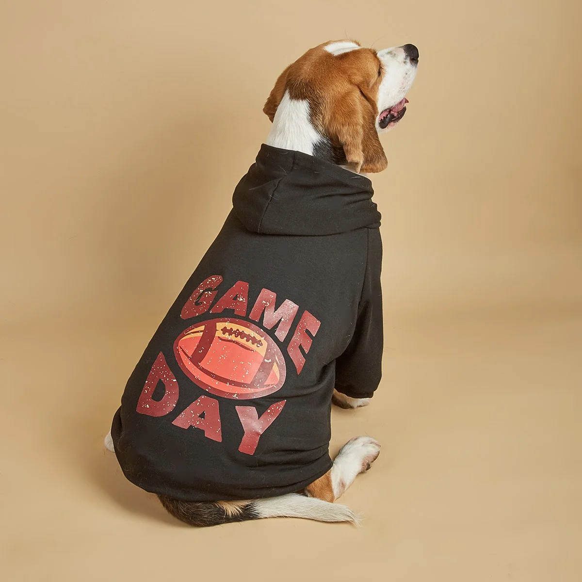 Small Dog Hoodie with Rugby Print