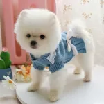 Wool Skirt Sweater for Dogs and Cats