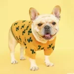 Cozy Turmeric Cactus Knitted Pet Sweater for Dogs & Cats