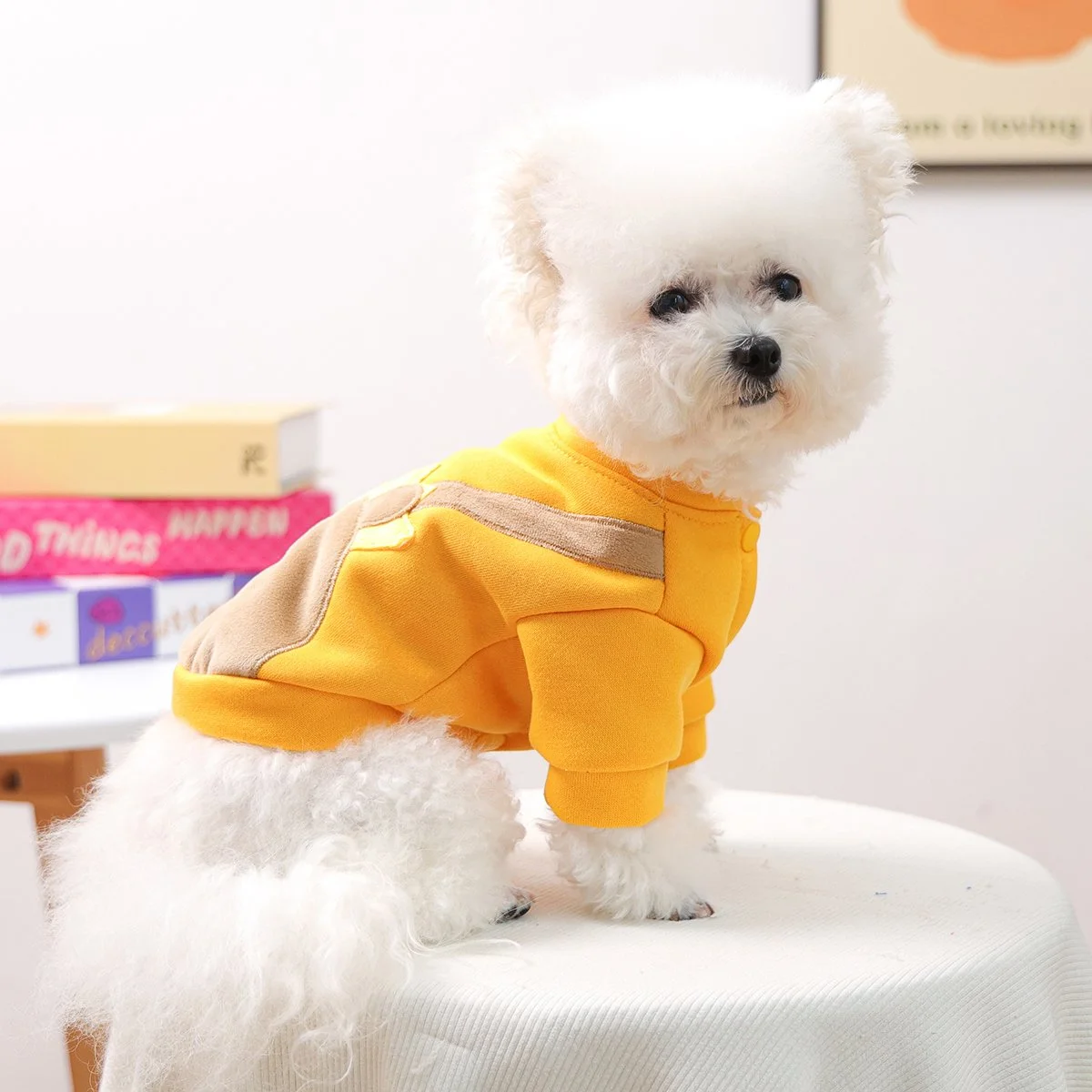 Cute Lion Cartoon Pet Sweater for Dogs