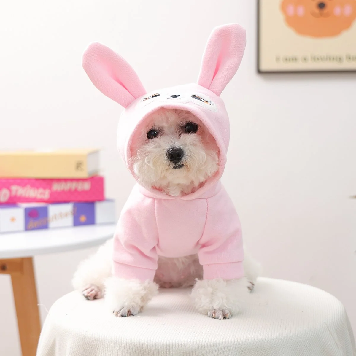 Pink Rabbit Hoodie for Dogs and Cats
