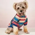 Striped Plush Pet Sweatshirt for Dogs & Cats