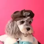 Adorable Pumpkin Dog Baseball Cap – Stylish Leather-Look Pet Hat