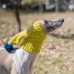 Yellow Pearl Dog Hat – Warmth for Small to Large Dogs
