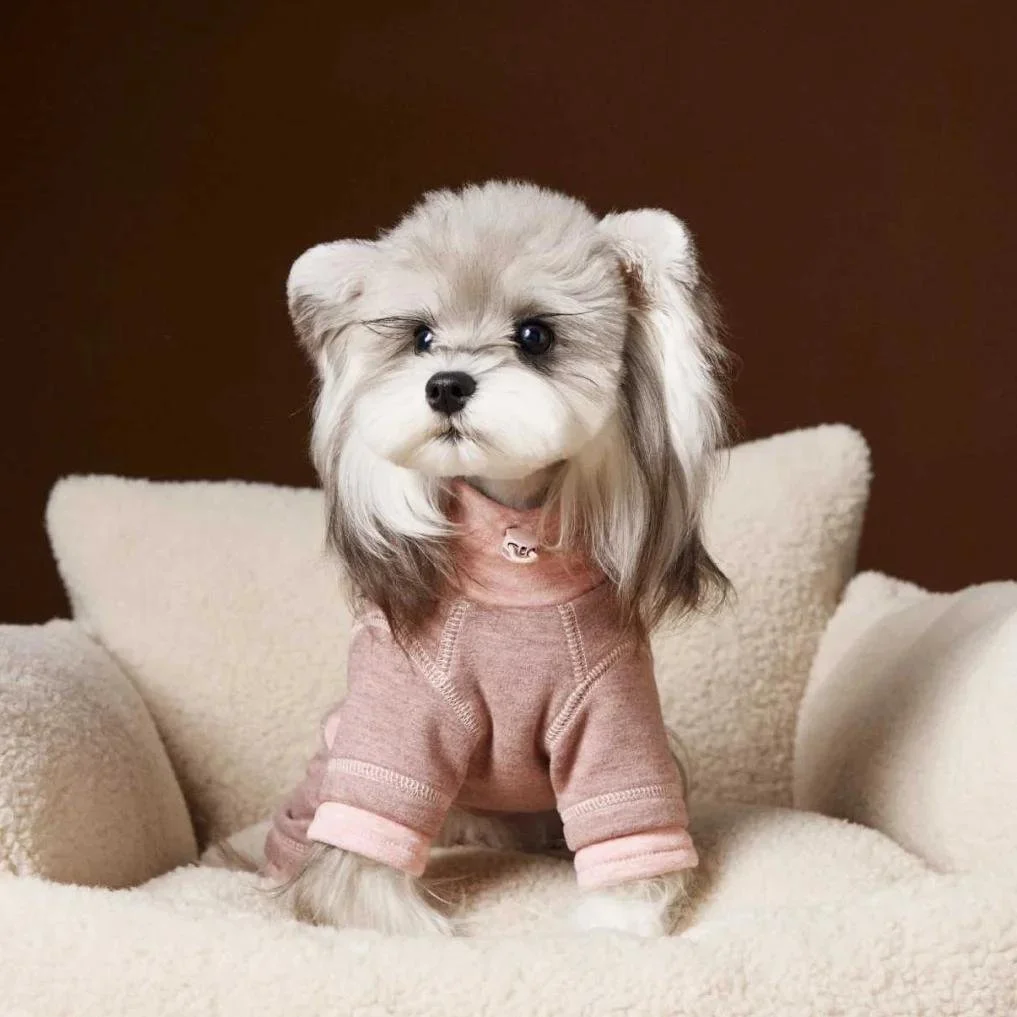 Cozy Winter Fleece Dog Pajamas with Elastic Four-Leg Design