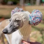 Cozy Wool Dog Hat with Fur Pom for Italian Greyhounds, Whippets & Large Breeds