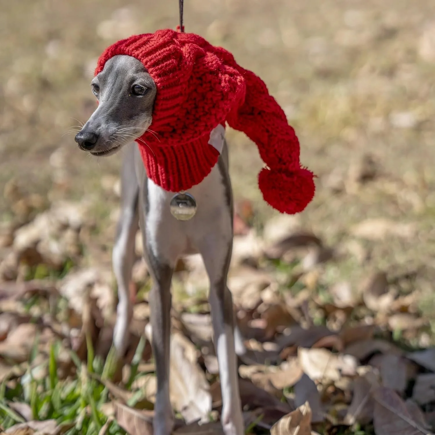 Cozy Hand-Knit Beanie Snood for Greyhounds & Large Dogs