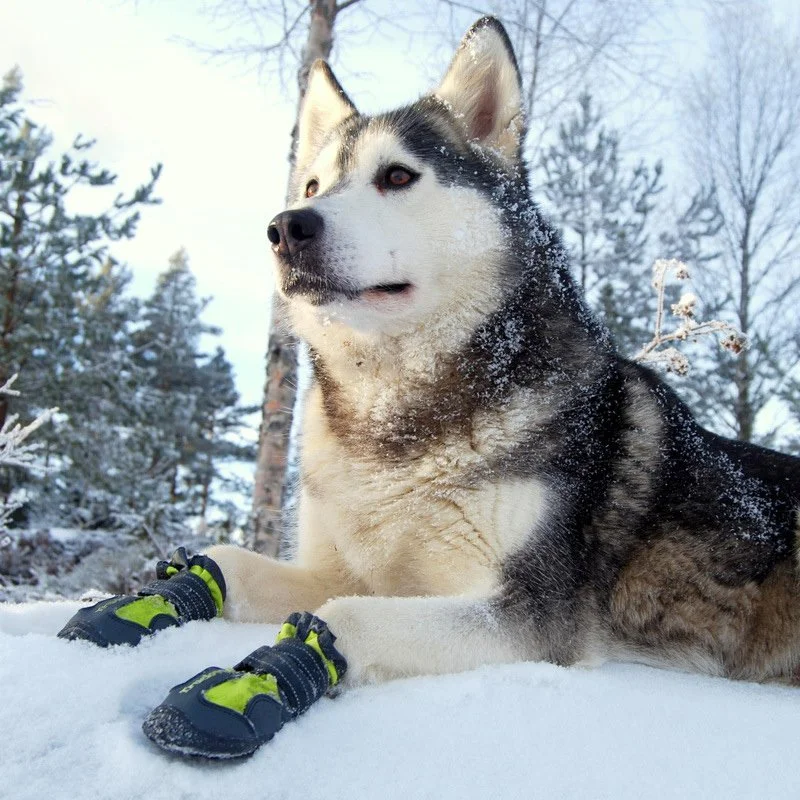 Waterproof Anti-Slip Dog Boots for Rain, Snow & Outdoor Training