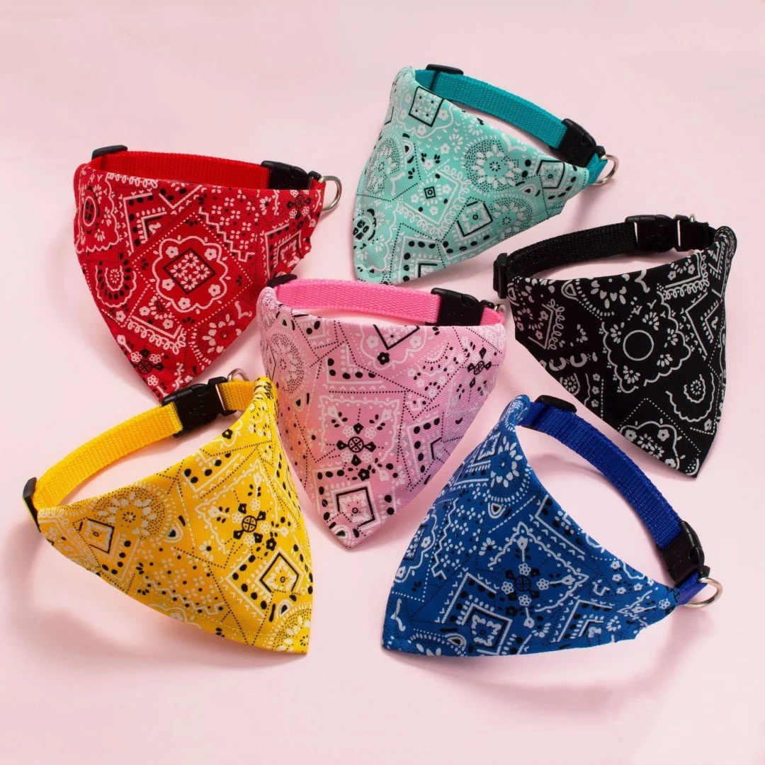 Adjustable Pet Bandana Collar with Triangular Scarf for Small Dogs & Cats