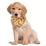 30pcs Colorful Dog Bandanas for Small Dogs, Puppies & Cats