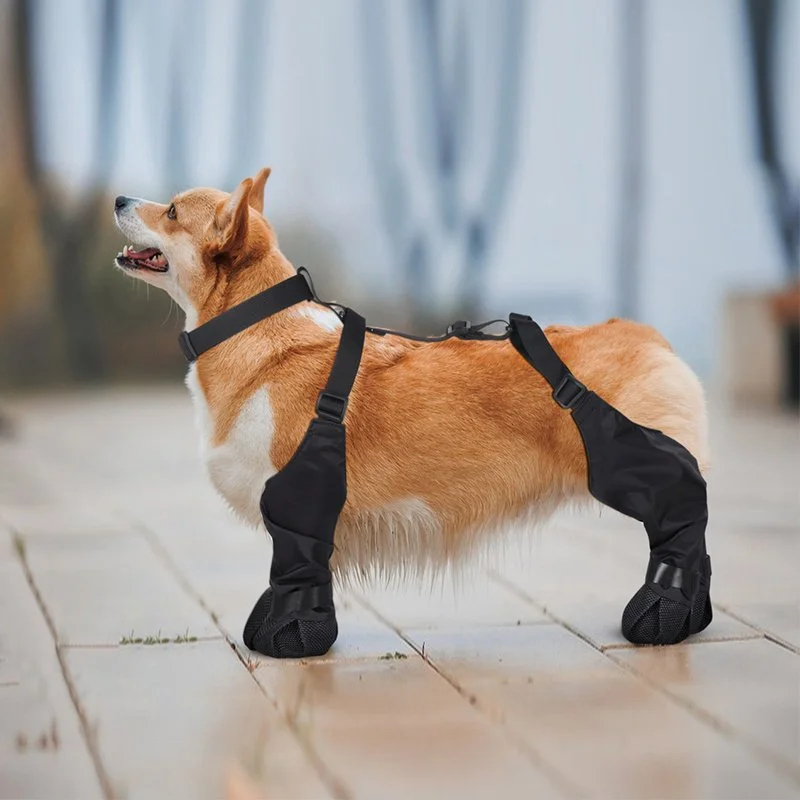 Waterproof Anti-Slip Dog Rain Boots – Adjustable Outdoor Paw Protectors