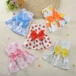 Floral Princess Pet Dress for Small Dogs & Cats – Tulle Skirt
