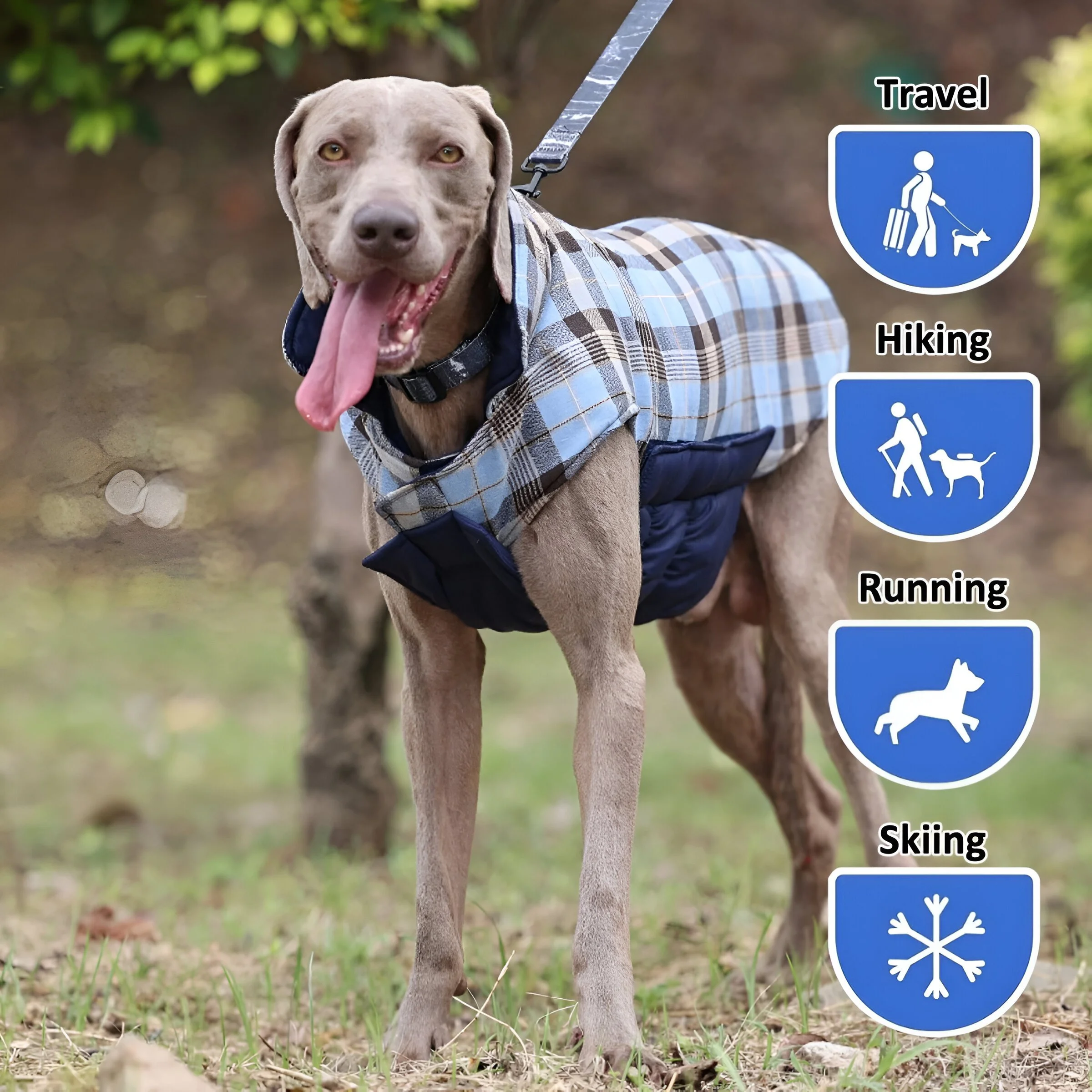 Reversible Waterproof Dog Jacket – Warm Quilted Winter Coat for Small to Large Dogs