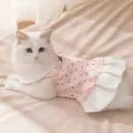 Princess Lace Dog Dress – Cute Dot Print Pet Skirt for Cats & Dogs