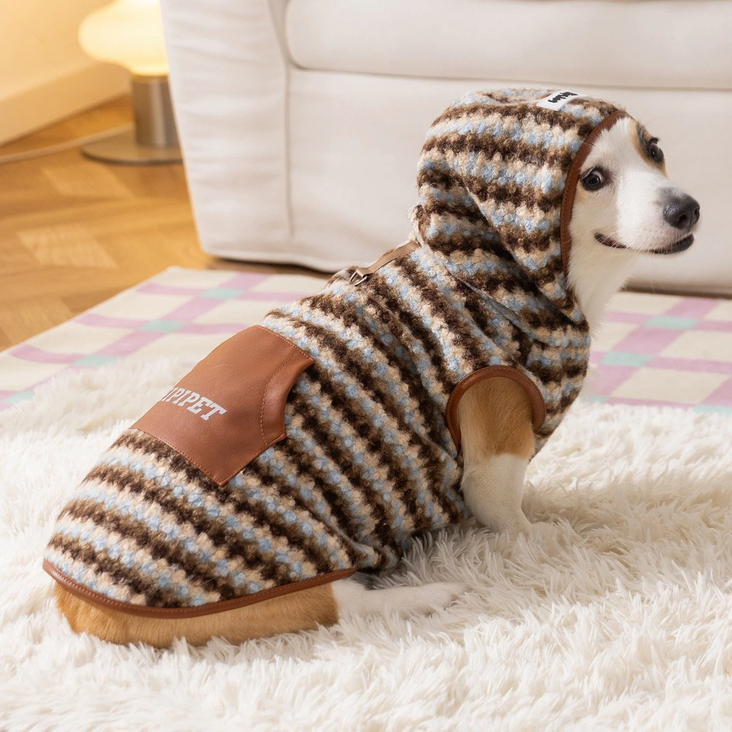 Cozy Dog Hoodie