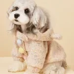 Winter Warm Padded Dog Jacket with D-Rings for Small Dogs