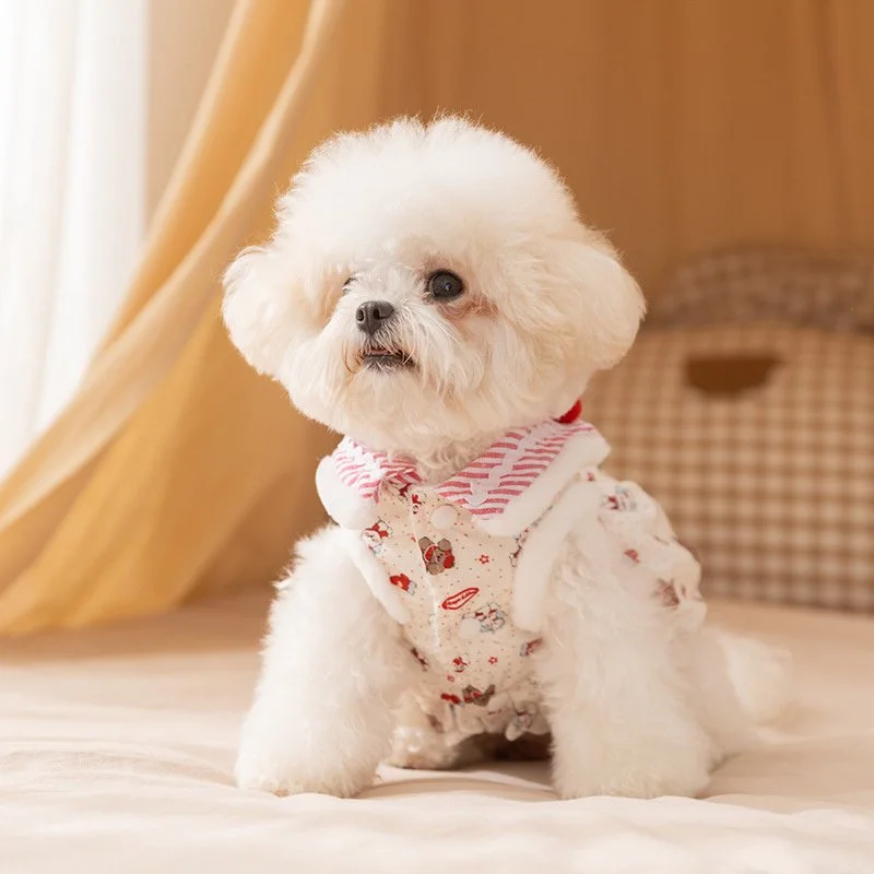 Winter Princess Dog Coat