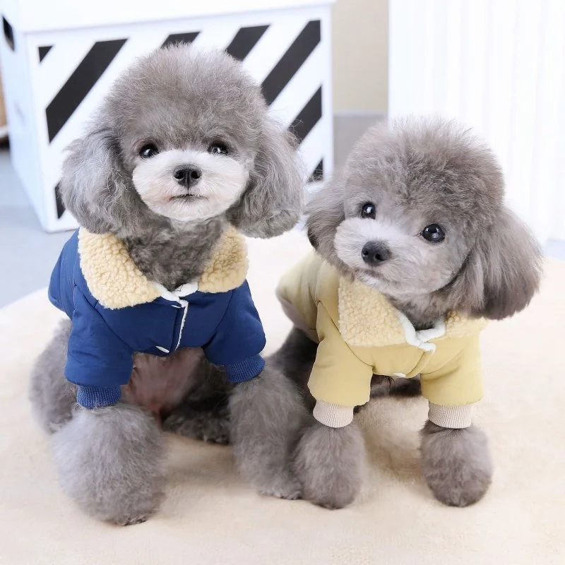Winter Warm Bear Print Dog & Cat Padded Hoodie Coat