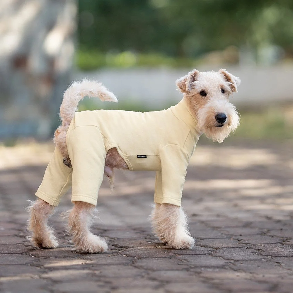 Stretchy Four-Leg Dog Hoodie Shirt for Small & Medium Dogs