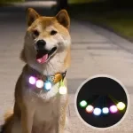 LED Safety Flashing Pet Pendant Light