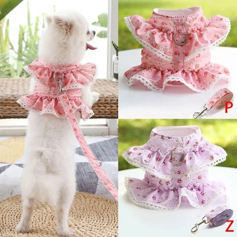 Dog Cat Harness Leash Set