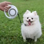 5m Retractable Dog Leash with Anti-Slip Handle and One-Handed Brake for Small to Medium Dogs