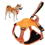 All-in-One Dog Harness and Retractable Leash Set