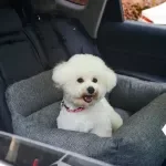 Large Folding Dog Car Seat Cover and Hammock for Travel