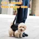 Stylish Pet Carrier Backpack for Small Dogs and Cats