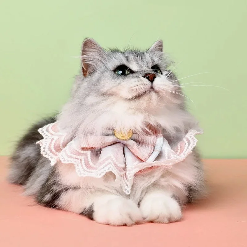 Cute Lace Bowtie Pet Bib
