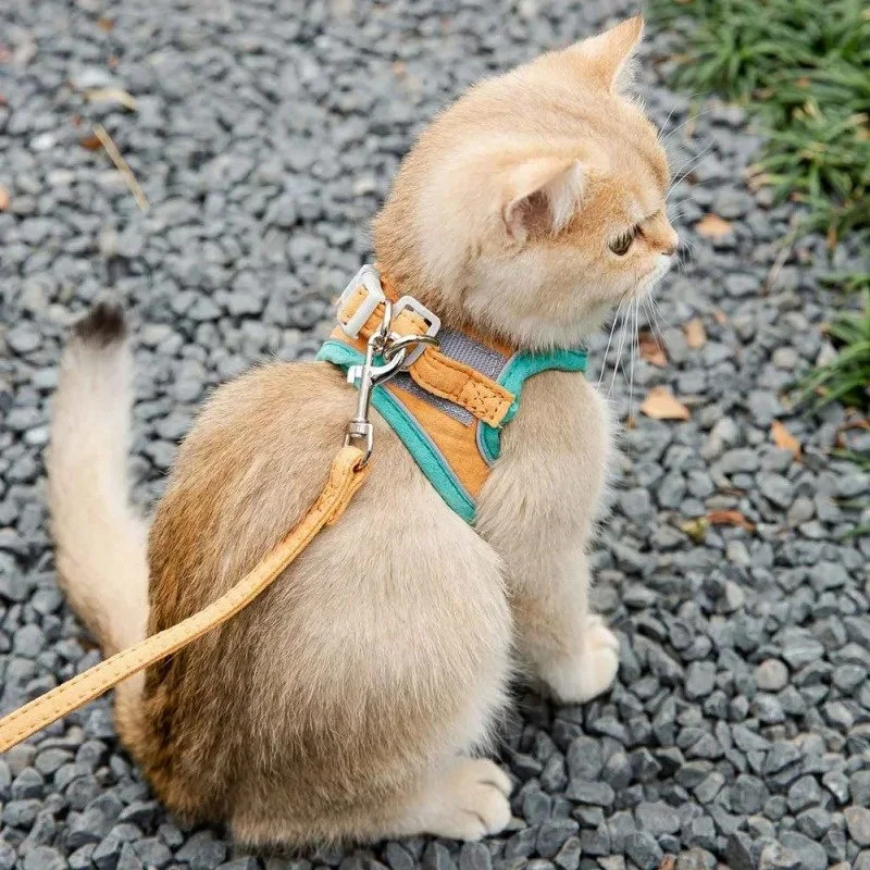 Comfortable Cat and Dog Harness Leash Set