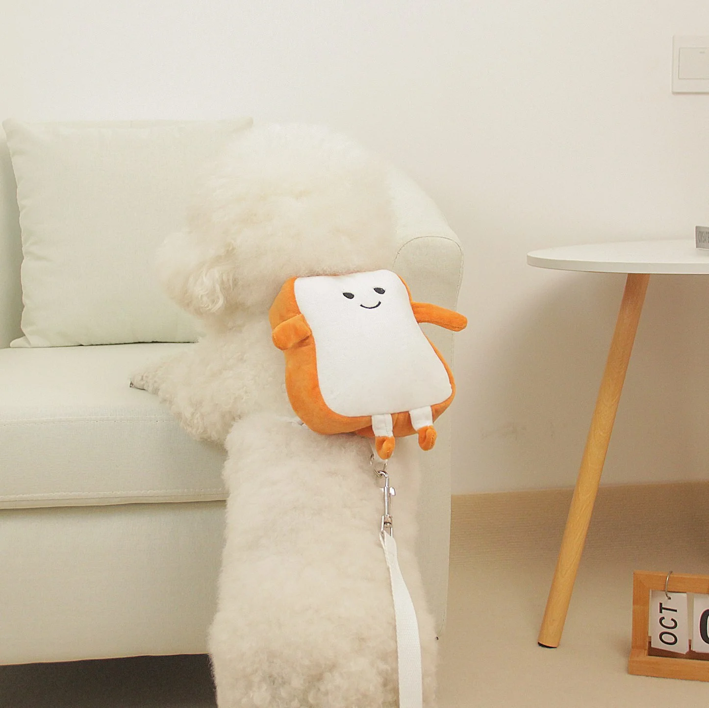 Dog Leash Pet Backpack
