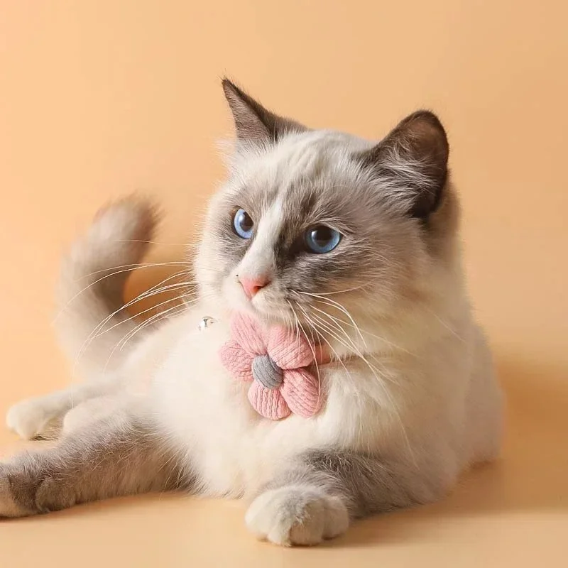 Adjustable Cat Collar with Cute Flower and Bell