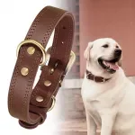 Genuine Leather Dog Collar Durable and Adjustable for Small and Large Dogs