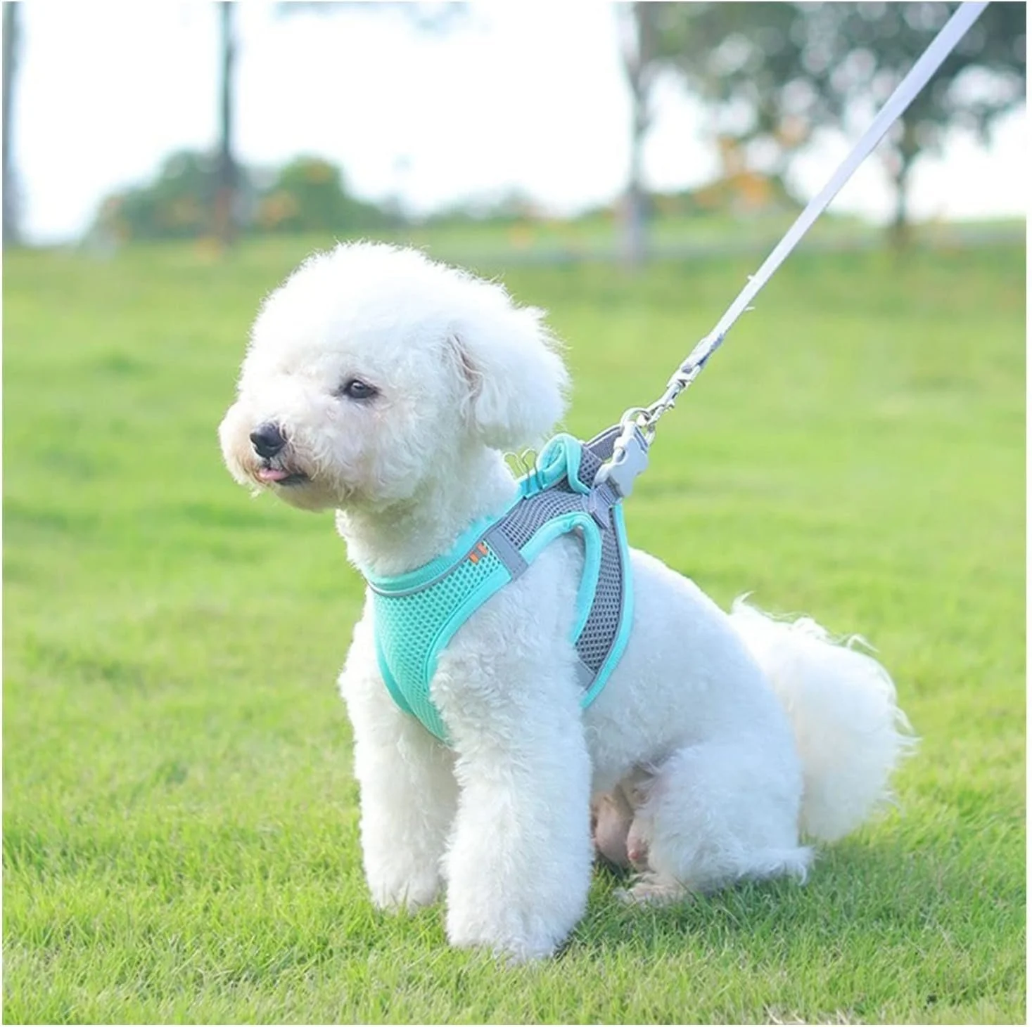 Reflective Breathable Adjustable Dog & Cat Harness Set for Safe Outdoor Walks