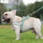 Adjustable Dog Harness Vest with Leash