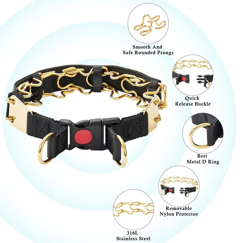 Adjustable Stainless Steel Dog Prong Collar