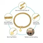 18K Gold Dog Chain Collar