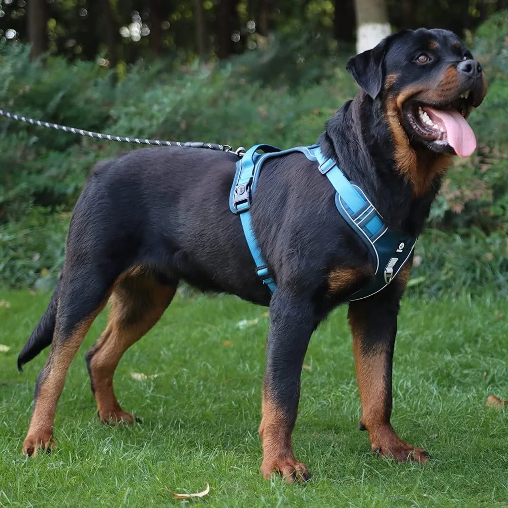 Adjustable Reflective Safety Dog Harness and Leash Set