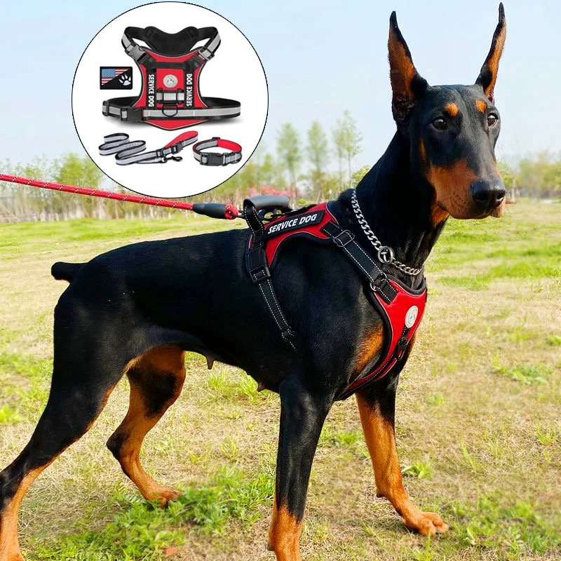 Doberman Dog Harness Collar Leash Set
