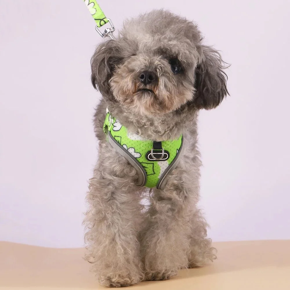 Adjustable Dog Harness Vest with Leash for Small Dogs, Escape Prevention