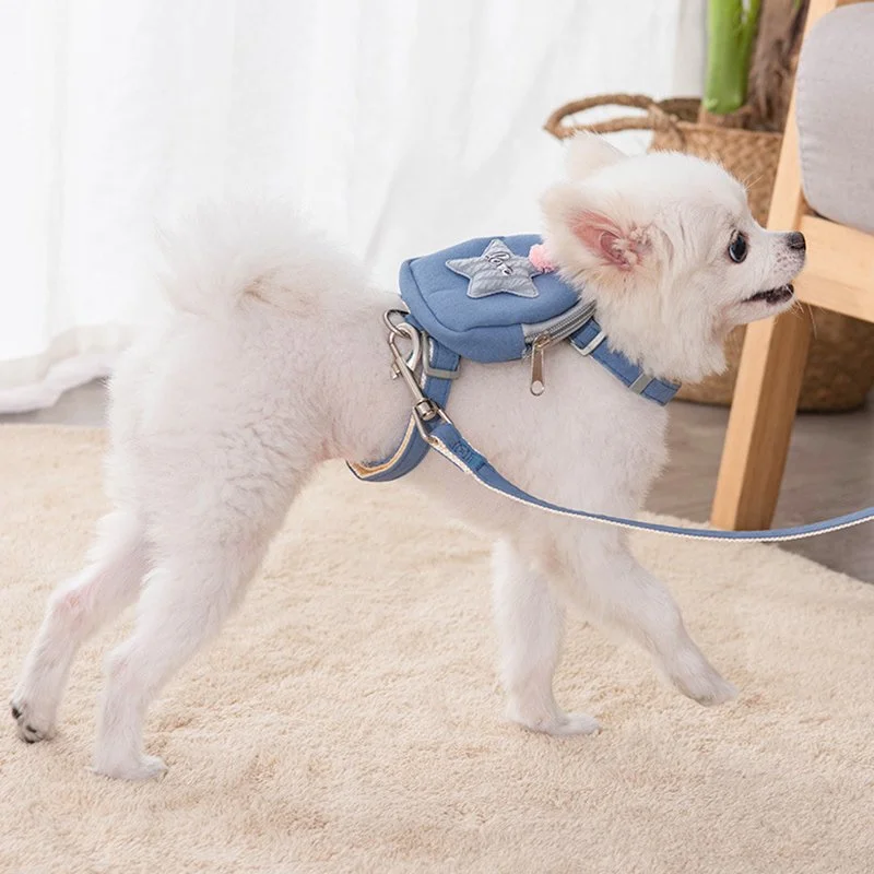 Cute Puppy Dog Cat Harness with Purse and Leash Set for Small Pets