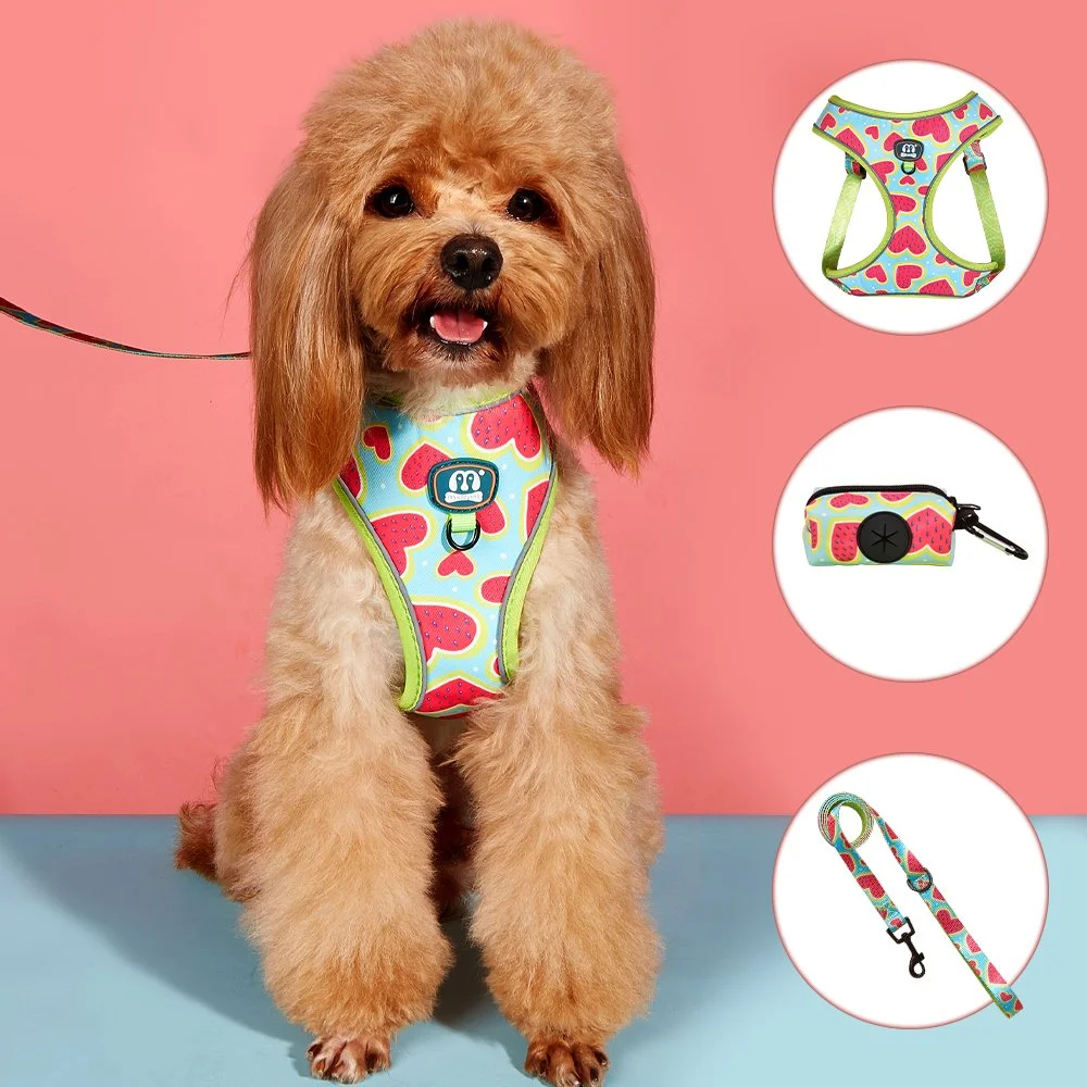 3-Piece Watermelon Heart Dog Harness & Leash Set with Poop Bag Holder