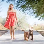 Dual Retractable Double Dog Leash