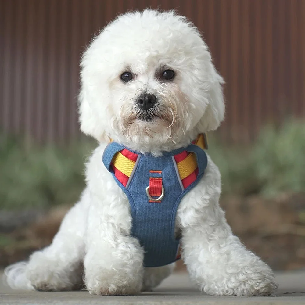 Waterproof Reflective No-Pull Dog Harness for Small to Large Dogs