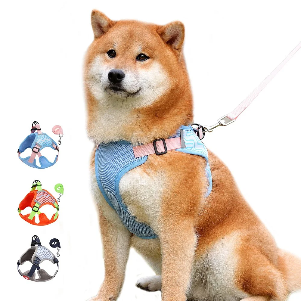 Reflective Dog Harness & Leash Set