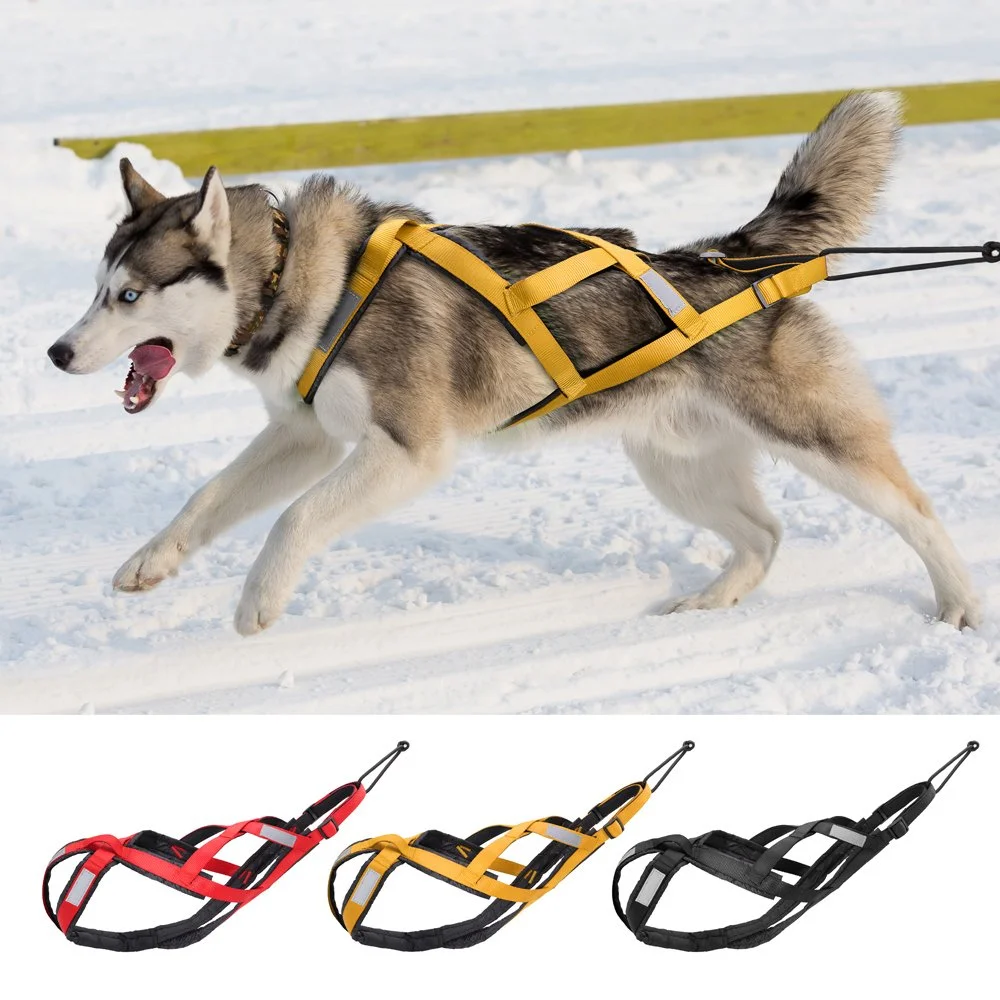 Heavy-Duty X-Back Dog Sledding and Weight Pulling Harness